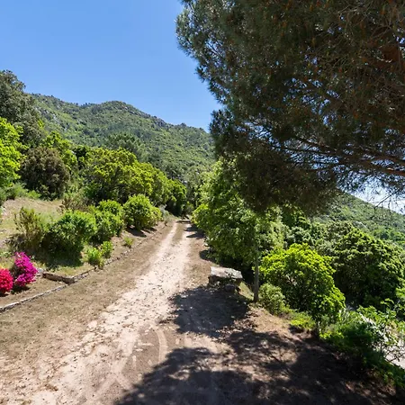 U Tadu - Maison De En Pierre Avec Vue Et Nature En Corse Du Sud