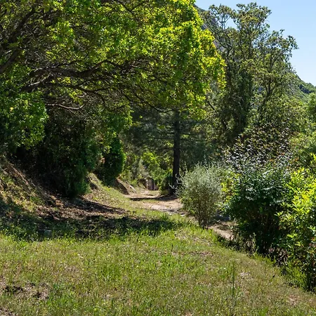 Ferienhaus U Tadu - Maison De En Pierre Avec Vue Et Nature En Corse Du Sud Monacia-d'Aullene