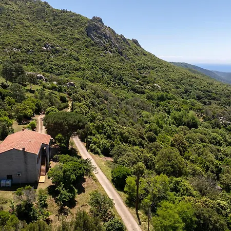 U Tadu - Maison De En Pierre Avec Vue Et Nature En Corse Du Sud Ferienhaus Monacia-d'Aullene