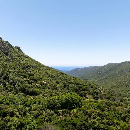 U Tadu - Maison De En Pierre Avec Vue Et Nature En Corse Du Sud *