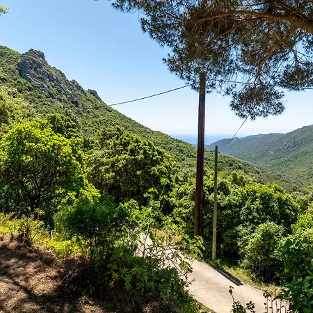Semesterbostad U Tadu - Maison De En Pierre Avec Vue Et Nature En Corse Du Sud *
