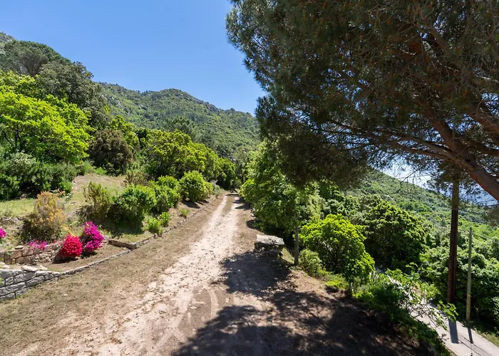U Tadu - Maison De En Pierre Avec Vue Et Nature En Corse Du Sud
