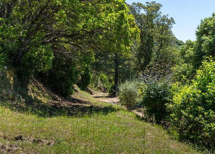 Holiday home U Tadu - Maison De En Pierre Avec Vue Et Nature En Corse Du Sud Monacia-d'Aullene