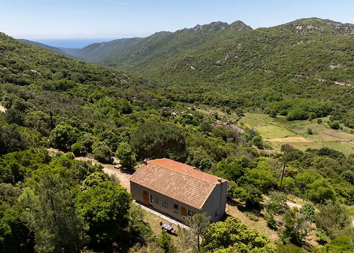 U Tadu - Maison De En Pierre Avec Vue Et Nature En Corse Du Sud