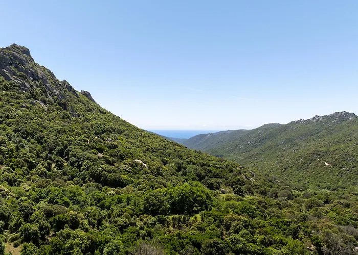 U Tadu - Maison De En Pierre Avec Vue Et Nature En Corse Du Sud *