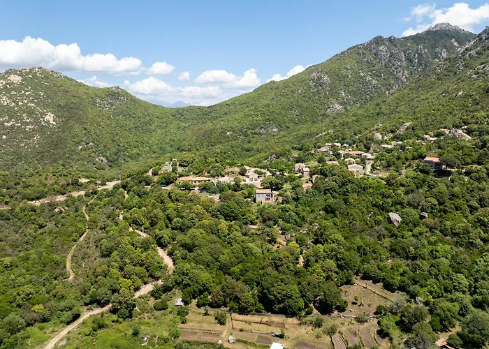 U Tadu - Maison De En Pierre Avec Vue Et Nature En Corse Du Sud Holiday home