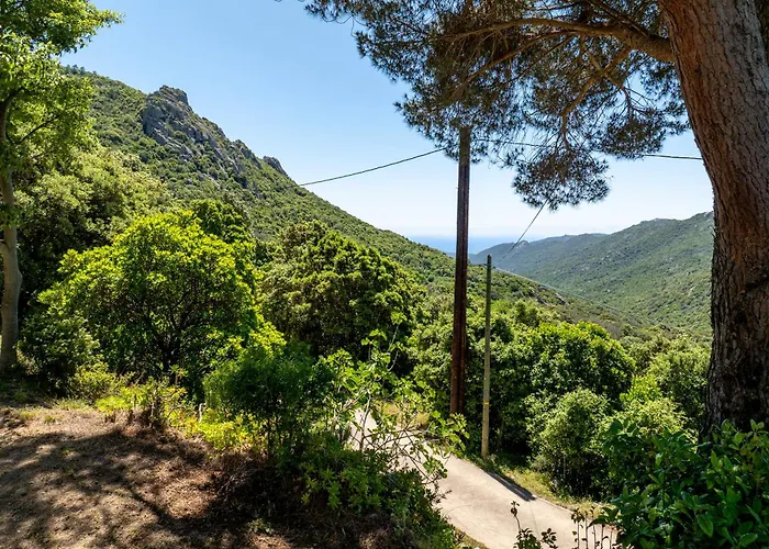 Holiday home U Tadu - Maison De En Pierre Avec Vue Et Nature En Corse Du Sud *